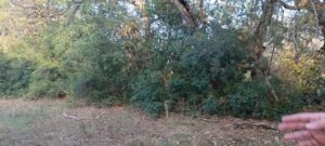 whatsapp image 2025 12 12 at 15.12.41 (1)